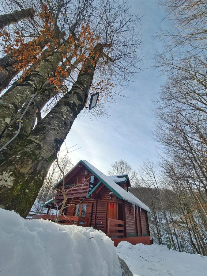 Villa Vikendica Crkvina Kolašin Exterior foto